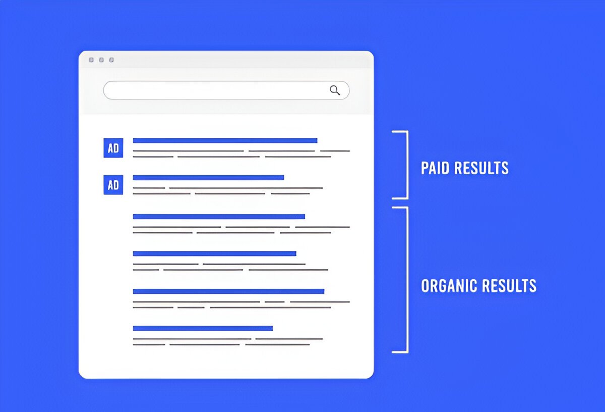 organic seo case study